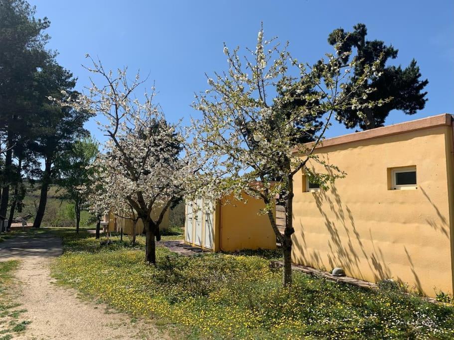 B&B Helga'S Agricampeggio Seùlo Esterno foto