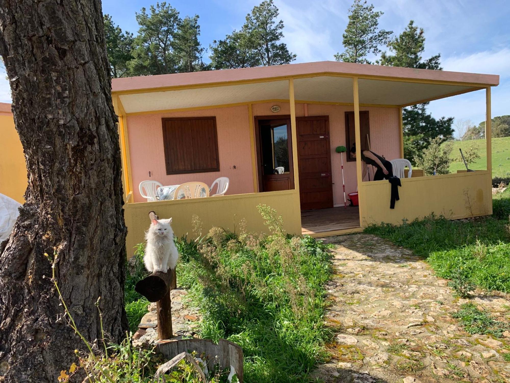 B&B Helga'S Agricampeggio Seùlo Esterno foto