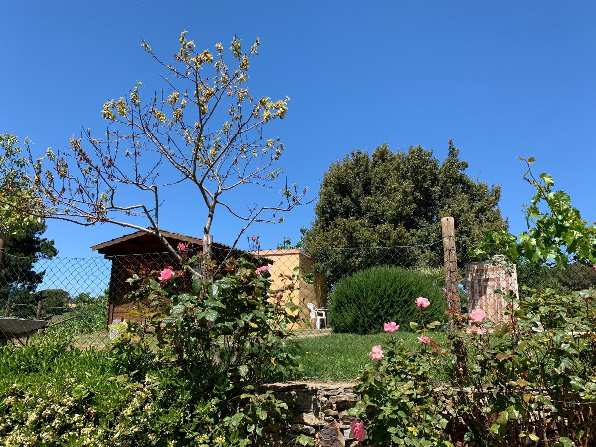 B&B Helga'S Agricampeggio Seùlo Esterno foto